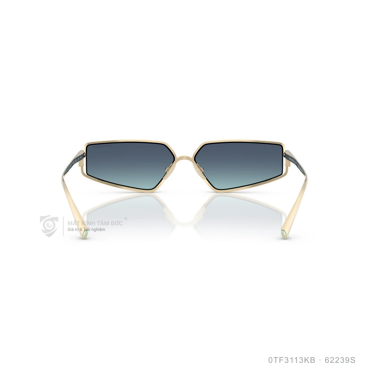 Kính mát Tiffany &amp; Co. 0TF3113KB - Ảnh 5