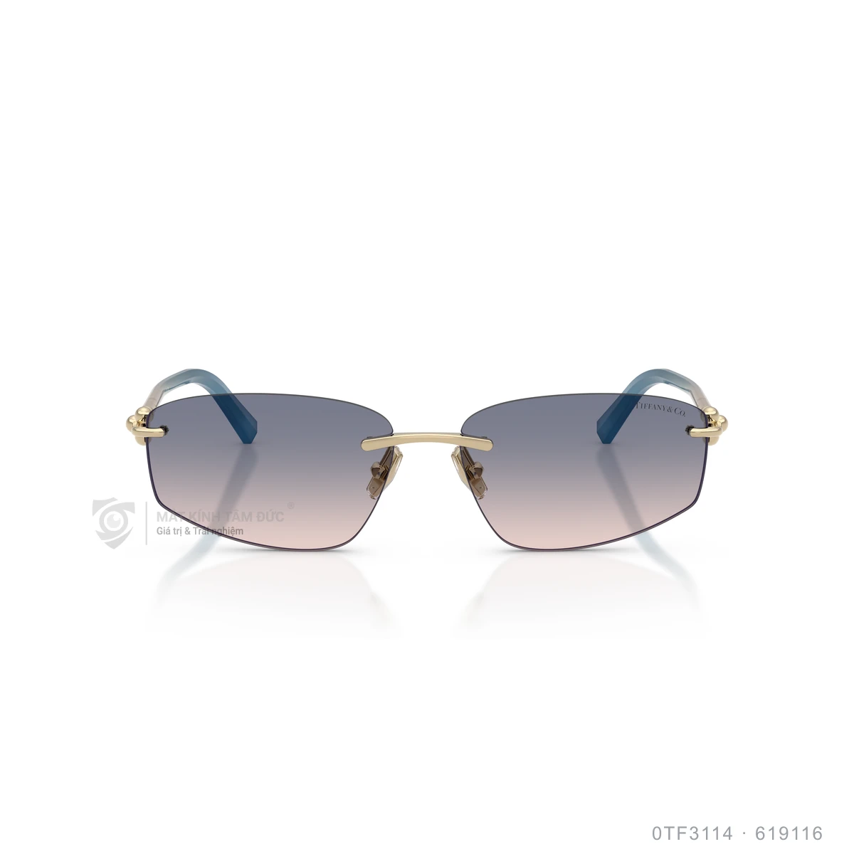 Kính mát Tiffany &amp; Co. 0TF3114 - Ảnh 16