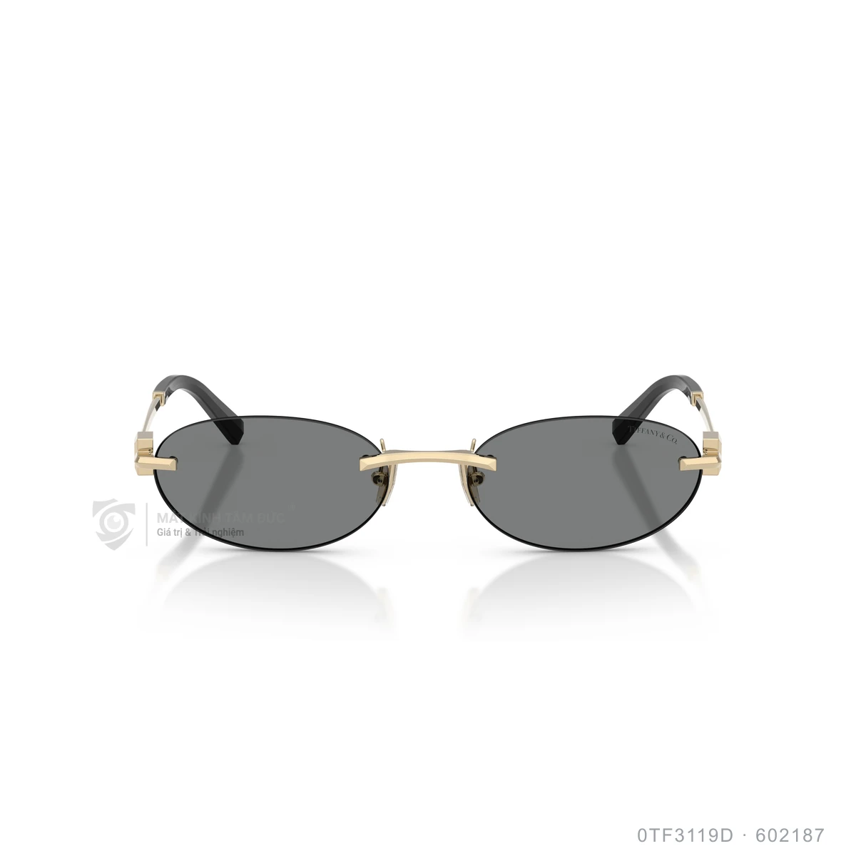 Hình ảnh thực tế Kính mát Tiffany & Co. 0TF3119D
