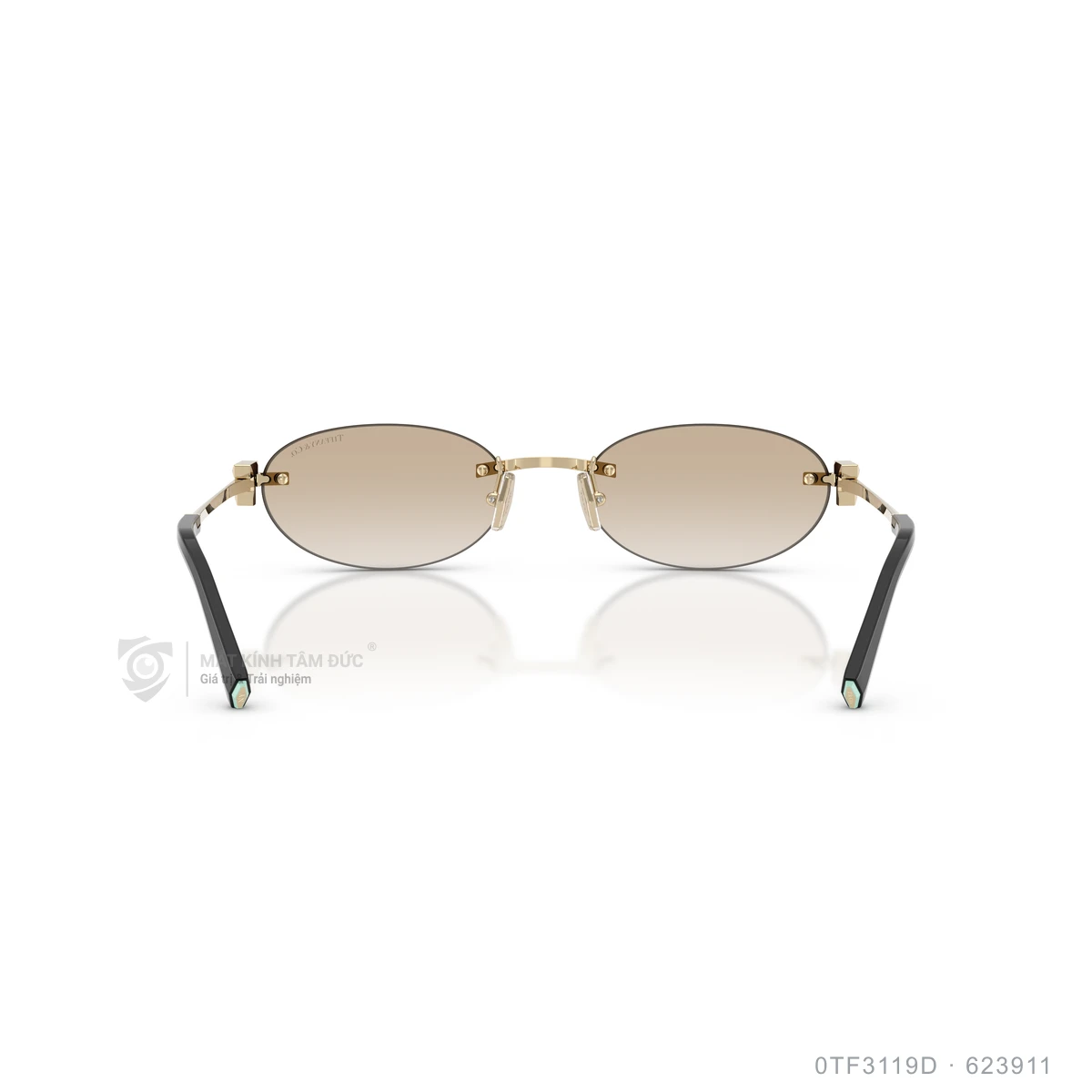 Kính mát Tiffany & Co. 0TF3119D - Ảnh 15