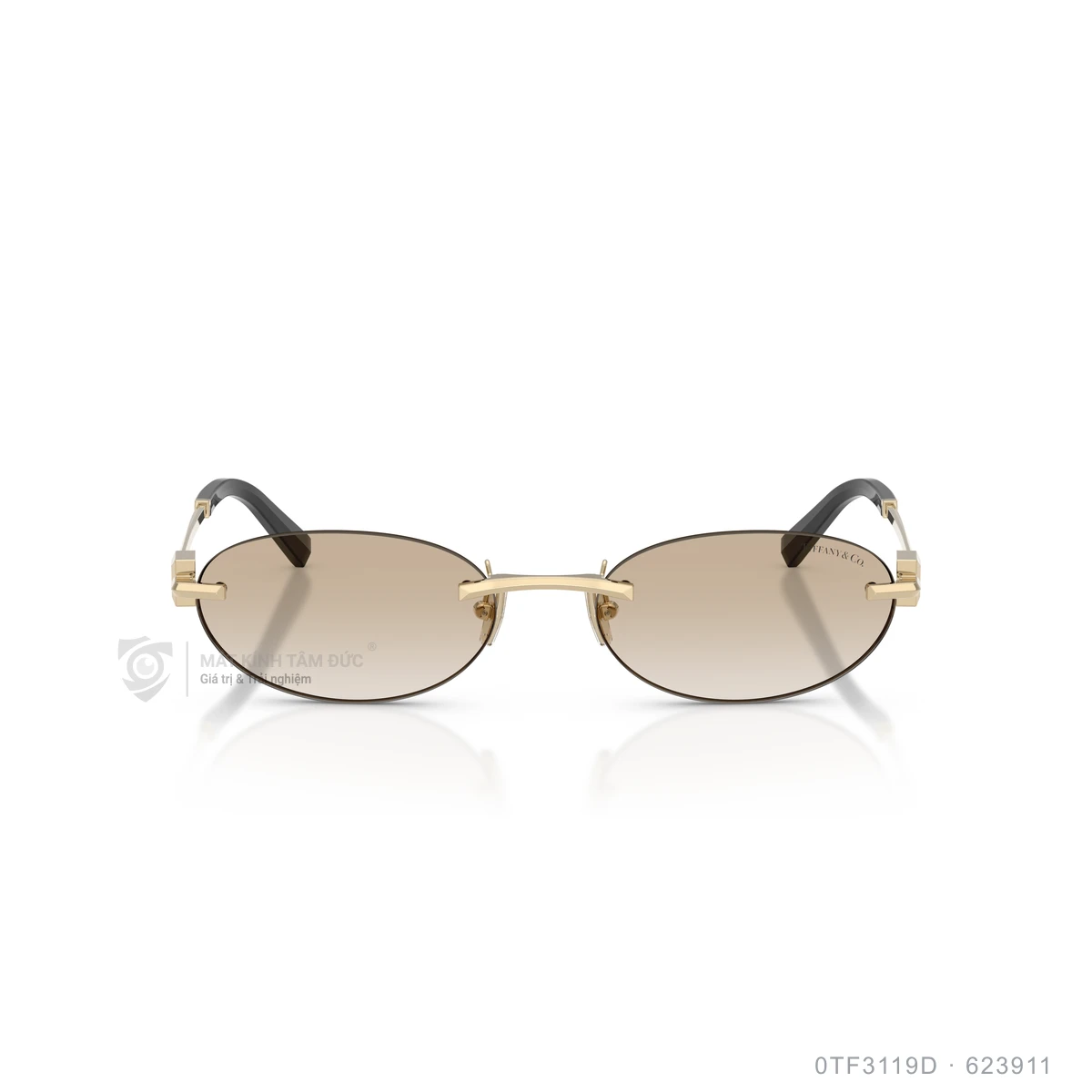 Kính mát Tiffany & Co. 0TF3119D - Ảnh 11