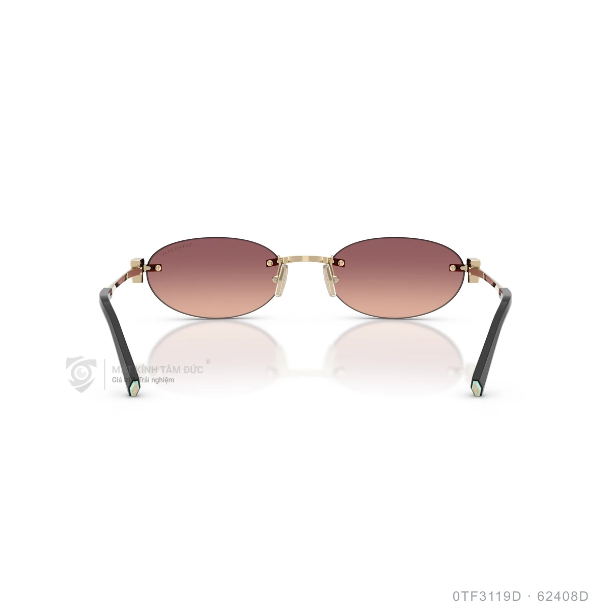 Kính mát Tiffany & Co. 0TF3119D - Ảnh 20