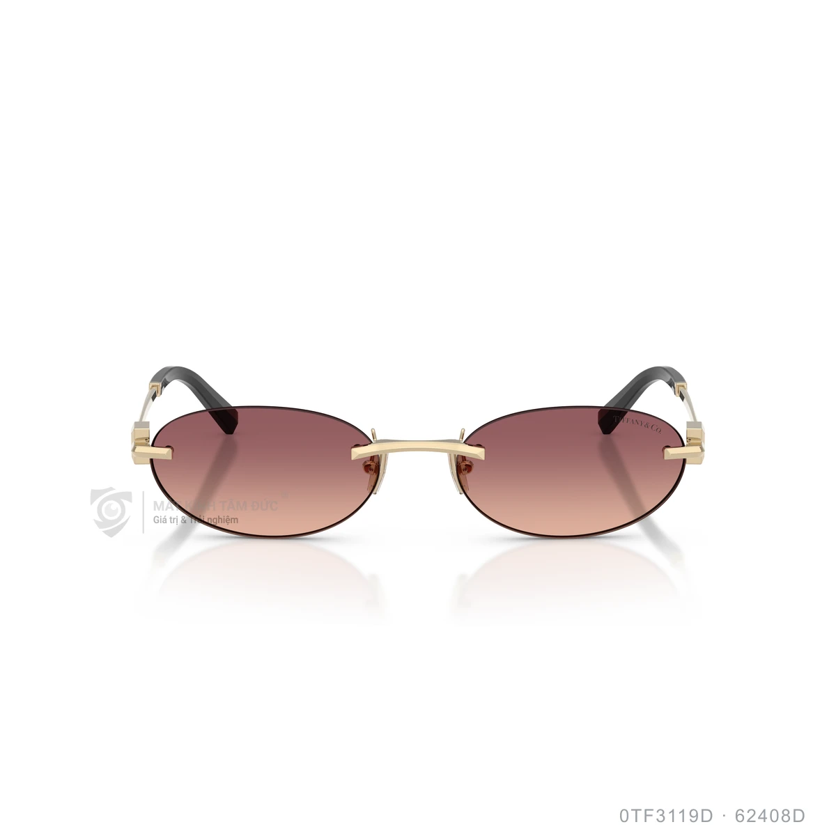Kính mát Tiffany & Co. 0TF3119D - Ảnh 16
