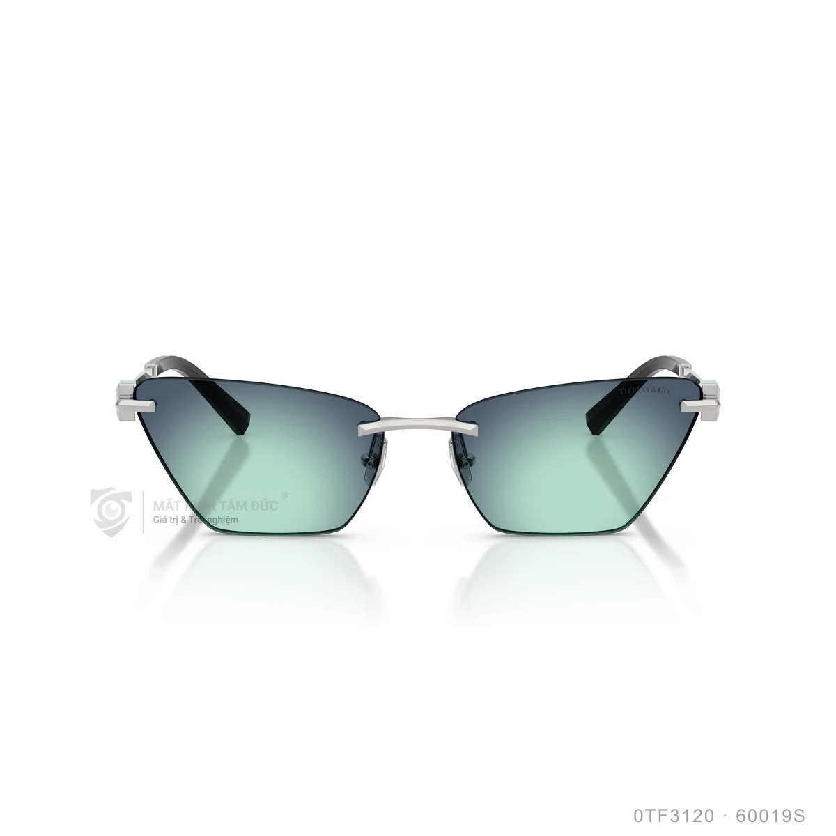 Kính mát Tiffany &amp; Co. 0TF3120 - Ảnh 1