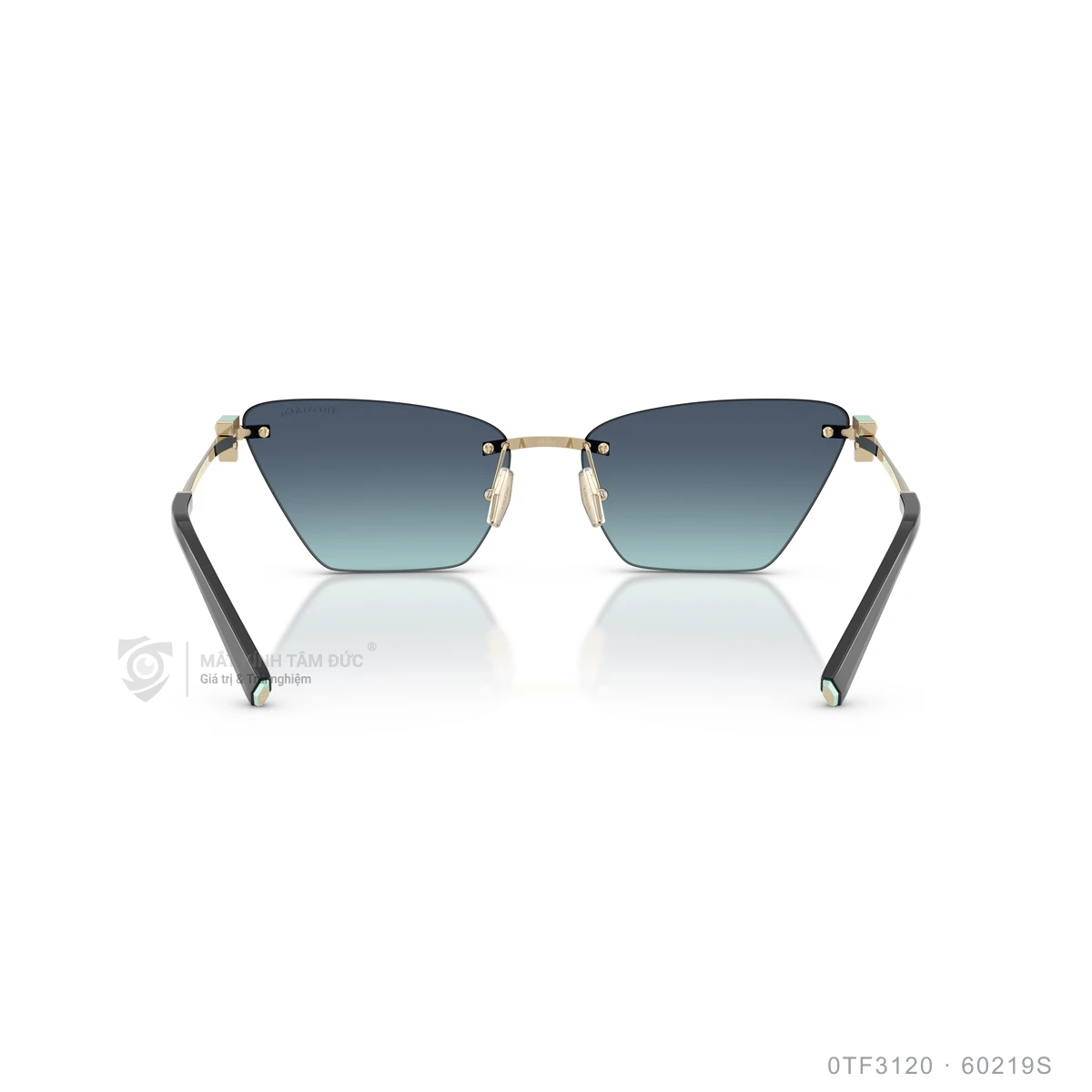 Kính mát Tiffany &amp; Co. 0TF3120 - Ảnh 10