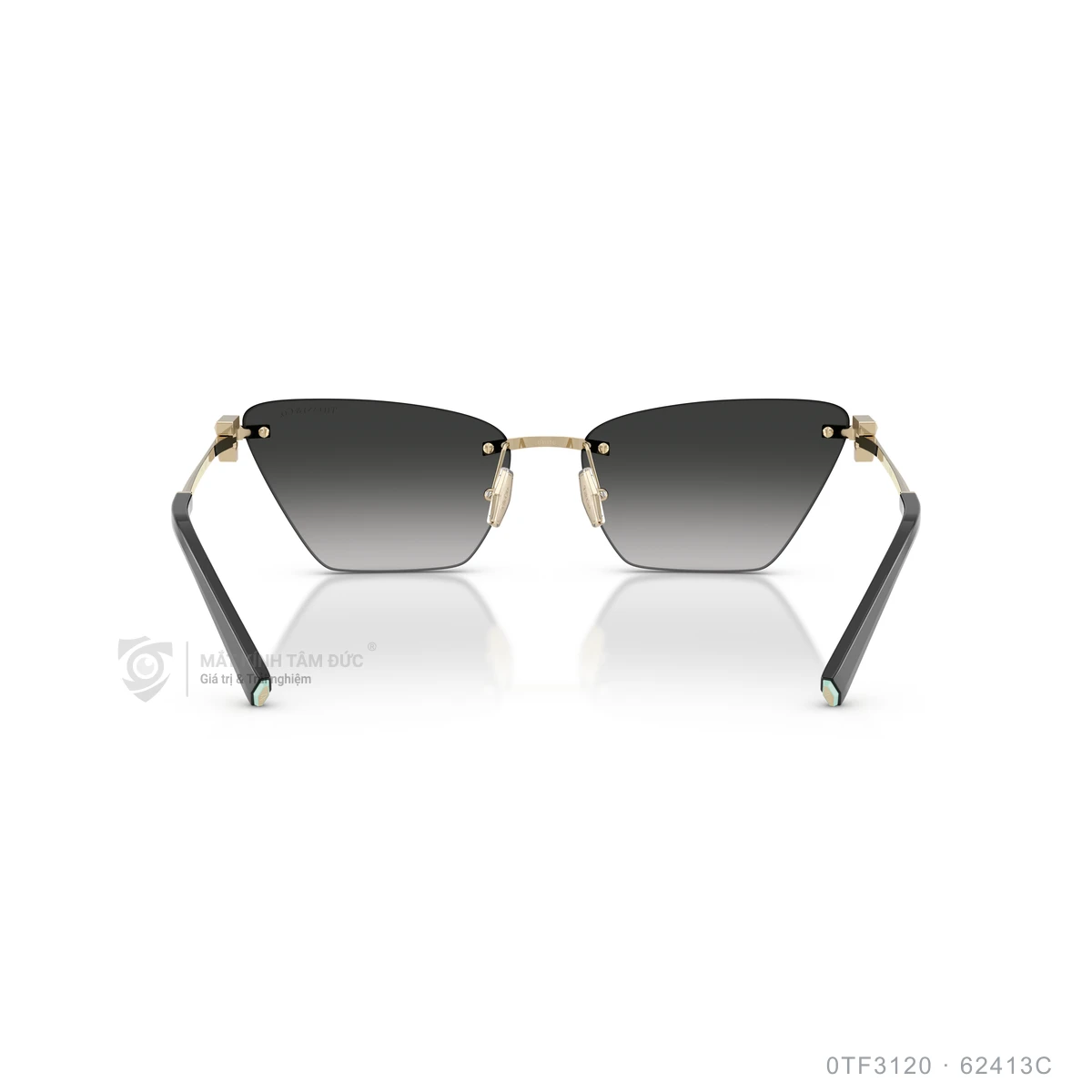 Kính mát Tiffany &amp; Co. 0TF3120 - Ảnh 15