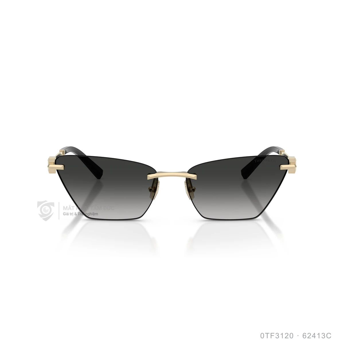 Kính mát Tiffany &amp; Co. 0TF3120 - Ảnh 11