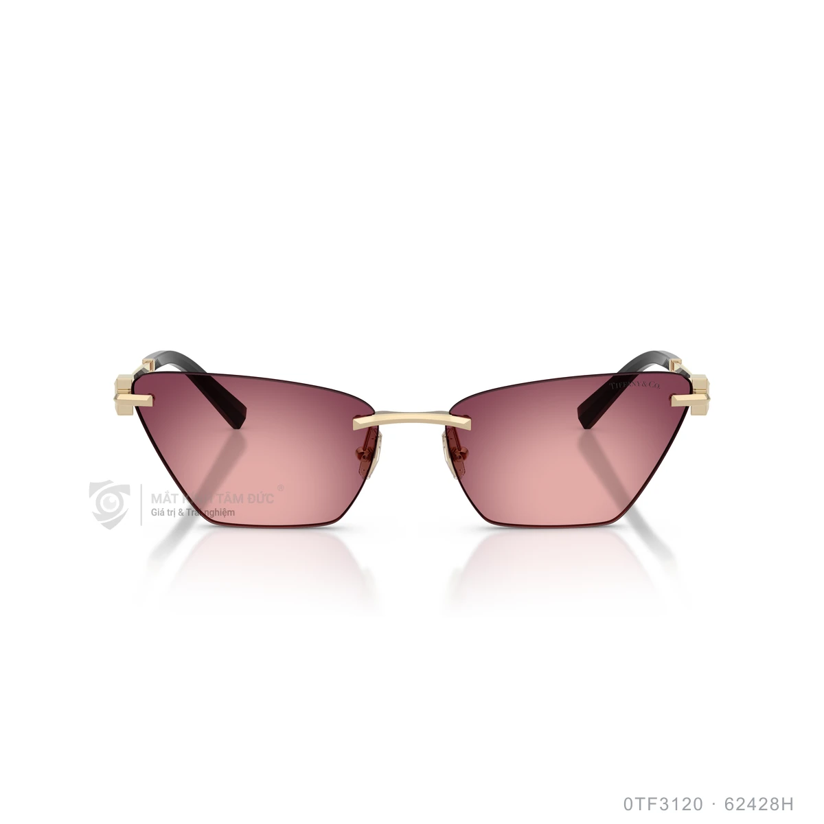Kính mát Tiffany &amp; Co. 0TF3120 - Ảnh 16