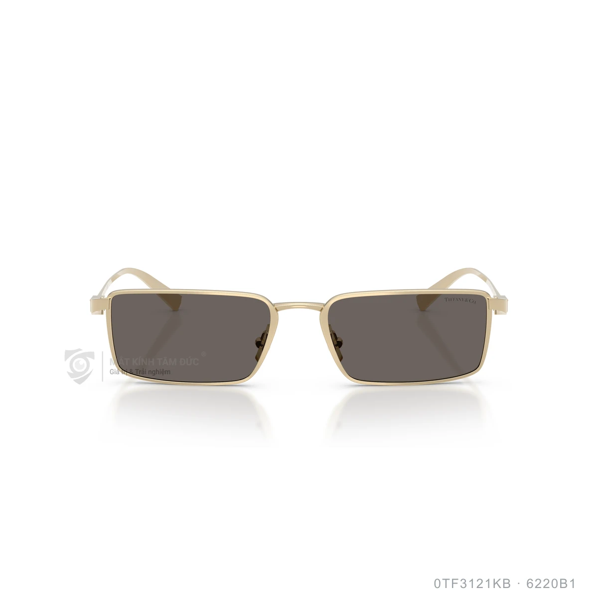 Kính mát Tiffany &amp; Co. 0TF3121KB - Ảnh 1