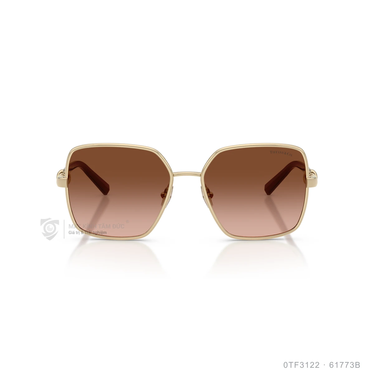 Kính mát Tiffany &amp; Co. 0TF3122 - Ảnh 11