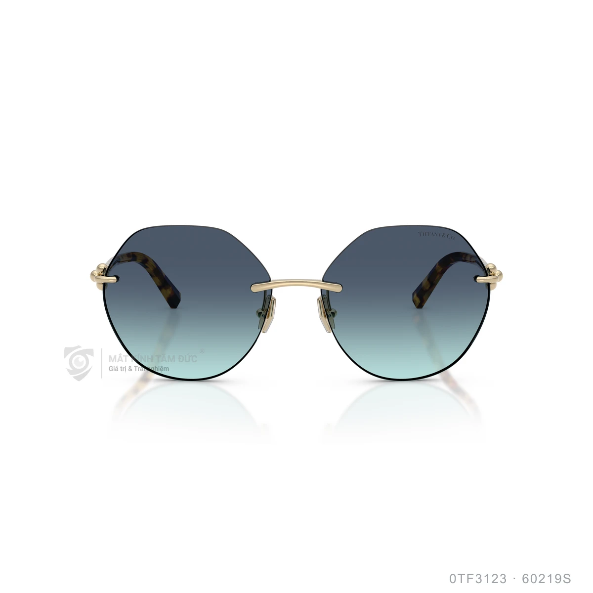 Hình ảnh thực tế Kính mát Tiffany & Co. 0TF3123
