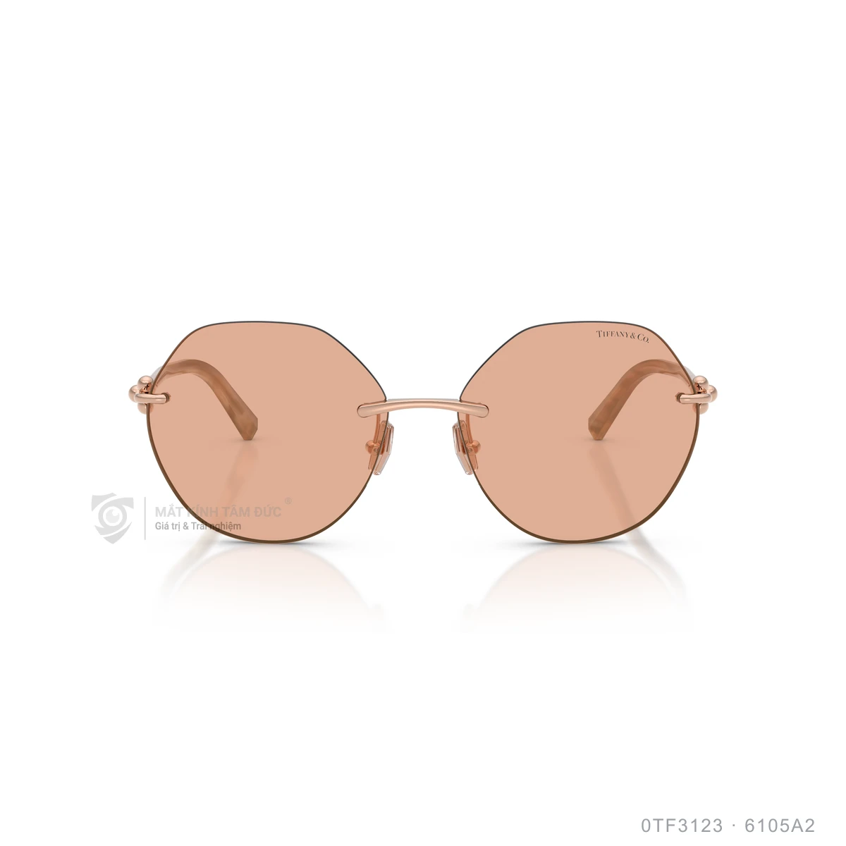 Kính mát Tiffany & Co. 0TF3123 - Ảnh 6