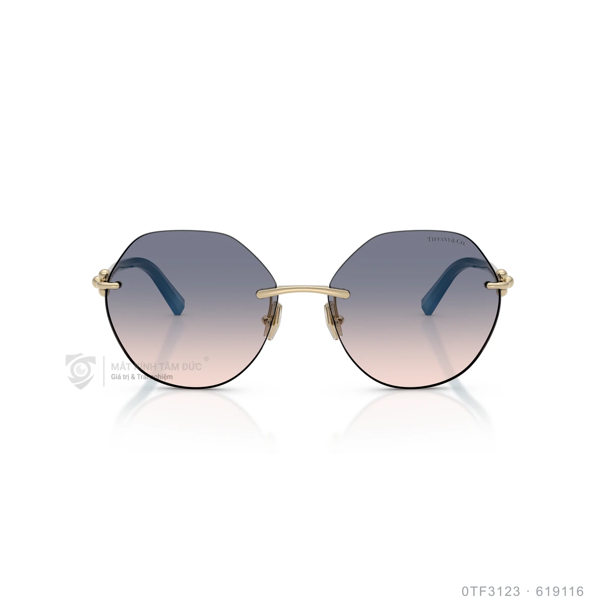 Kính mát Tiffany & Co. 0TF3123 - Ảnh 11