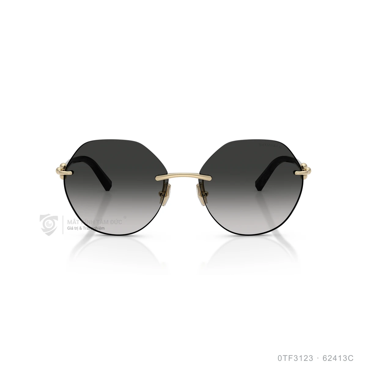 Kính mát Tiffany & Co. 0TF3123 - Ảnh 16