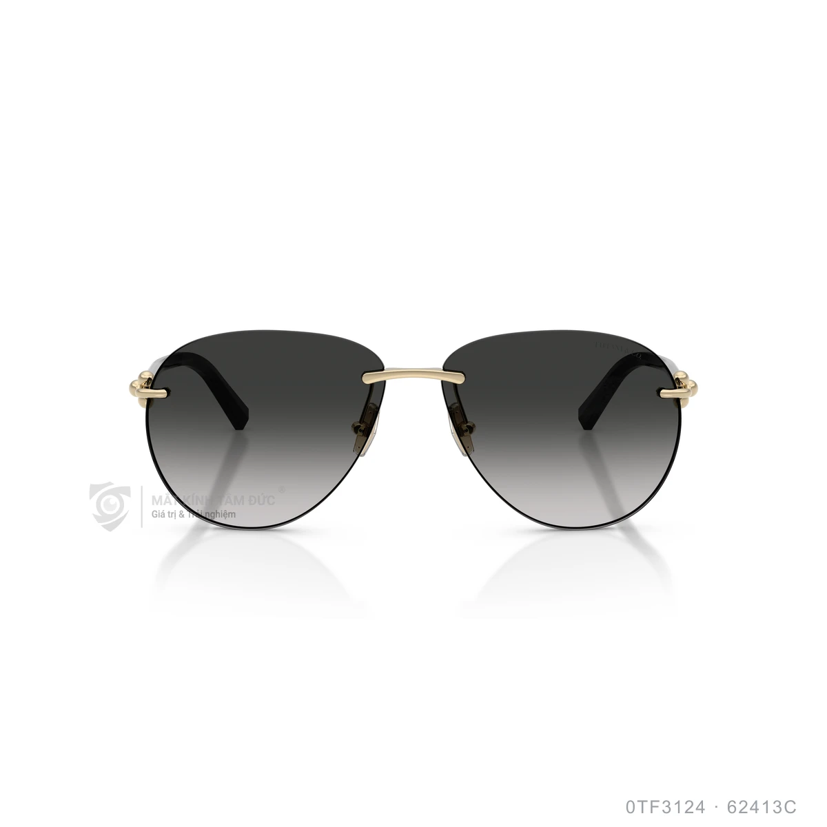 Kính mát Tiffany & Co. 0TF3124 - Ảnh 16