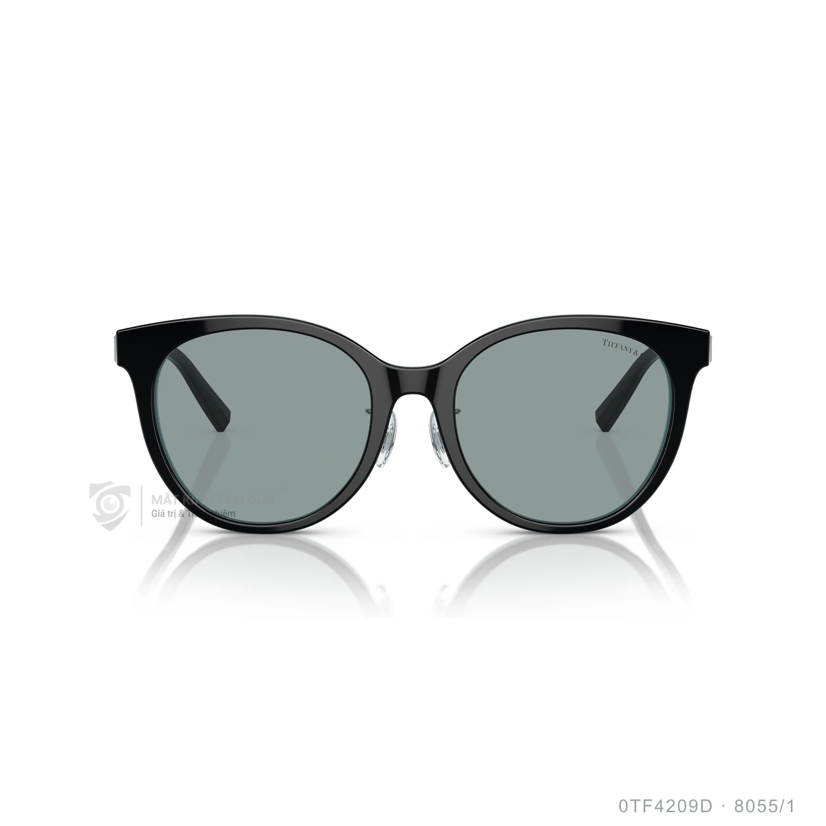 Kính mát Tiffany &amp; Co. 0TF4209D - Ảnh 1