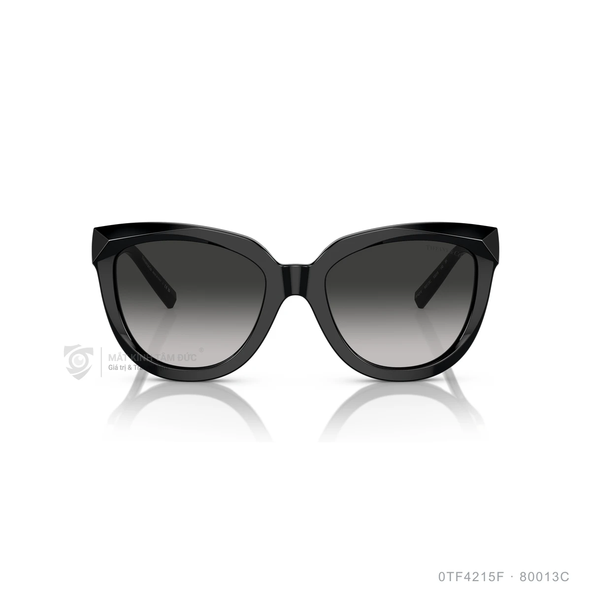Kính mát Tiffany &amp; Co. 0TF4215F - Ảnh 1