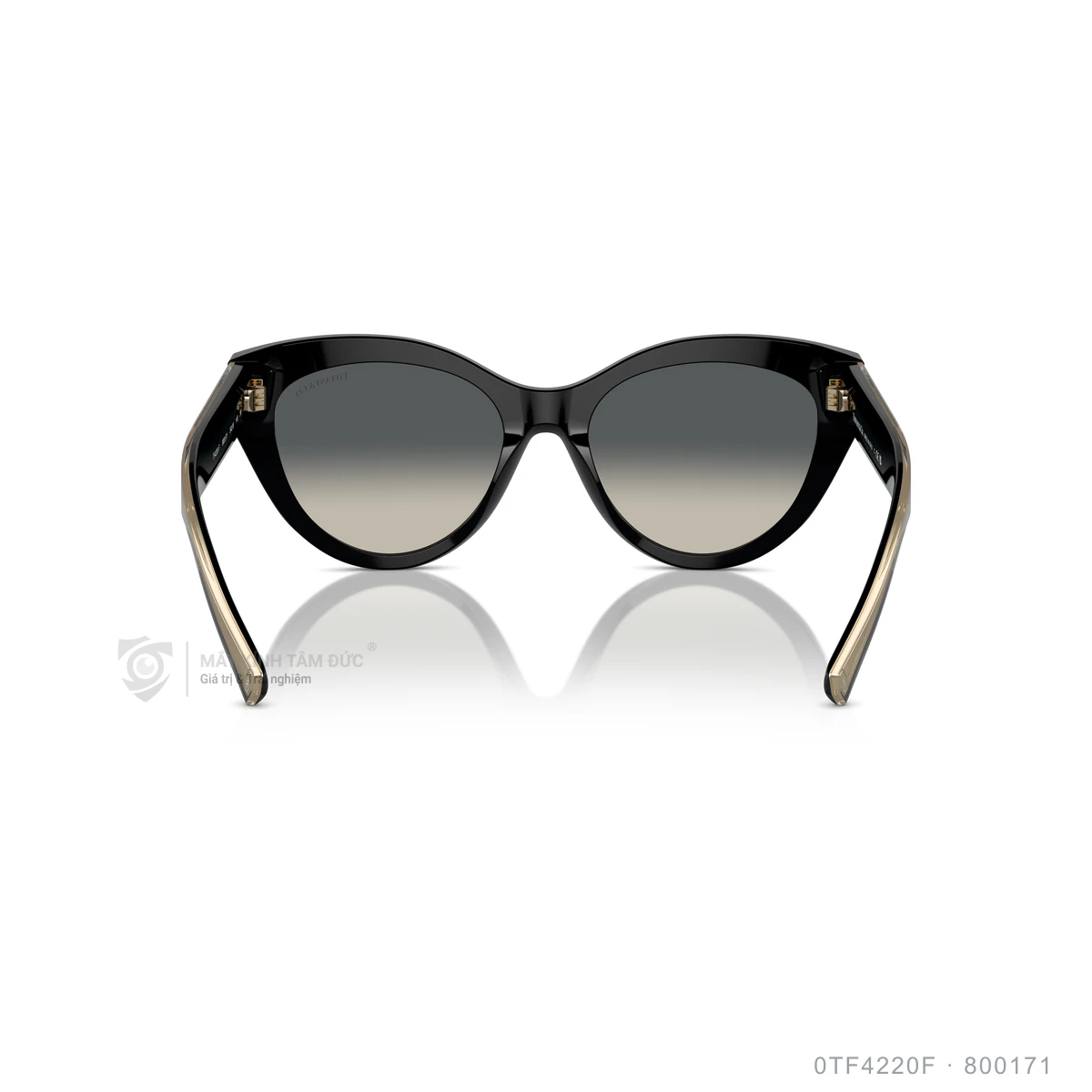 Kính mát Tiffany & Co. 0TF4220F - Ảnh 5