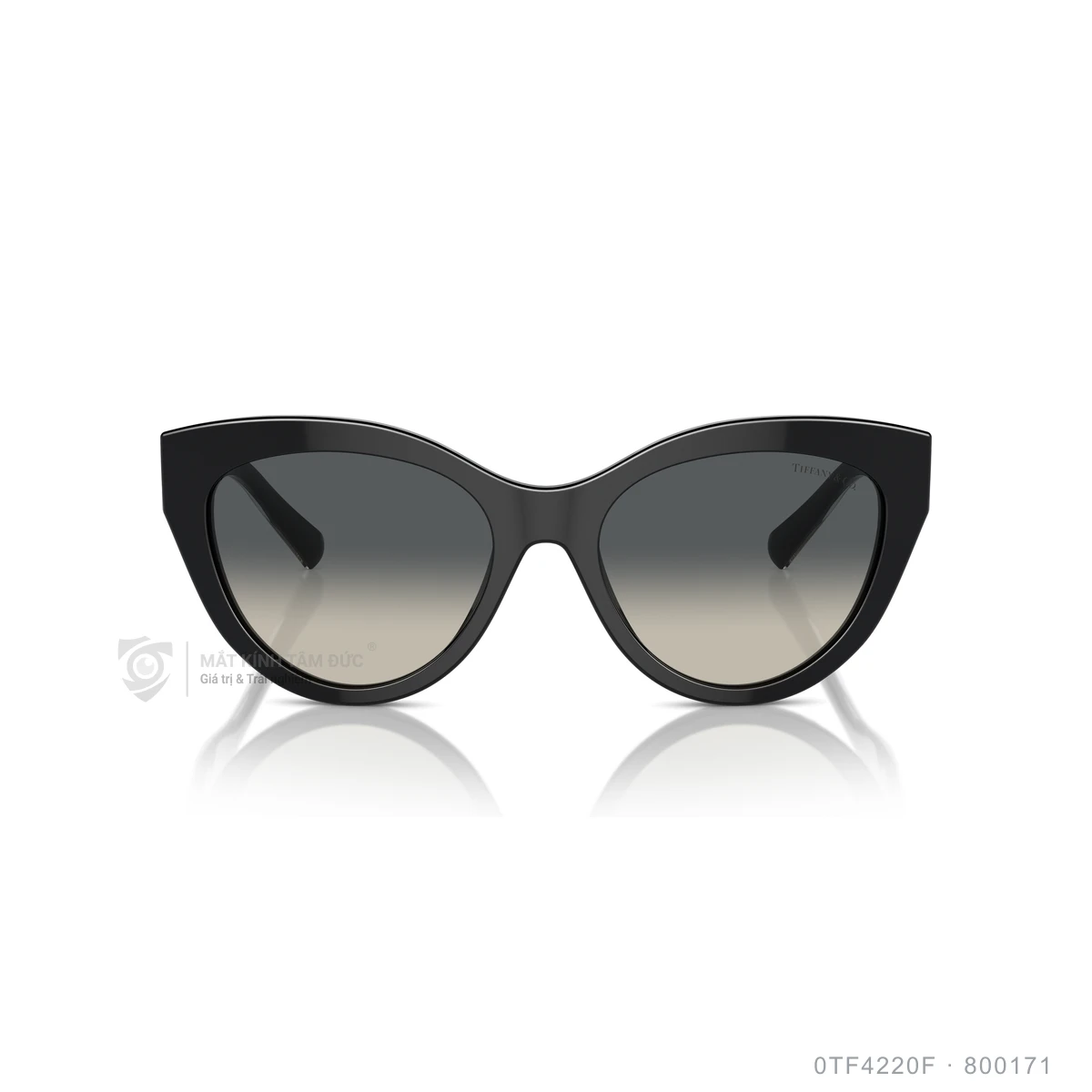 Hình ảnh thực tế Kính mát Tiffany & Co. 0TF4220F