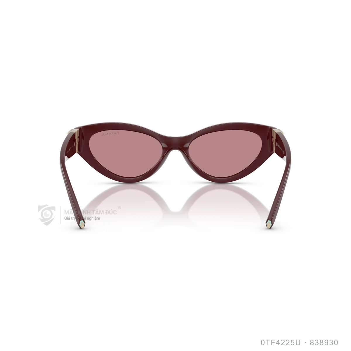 Kính mát Tiffany &amp; Co. 0TF4225U - Ảnh 10