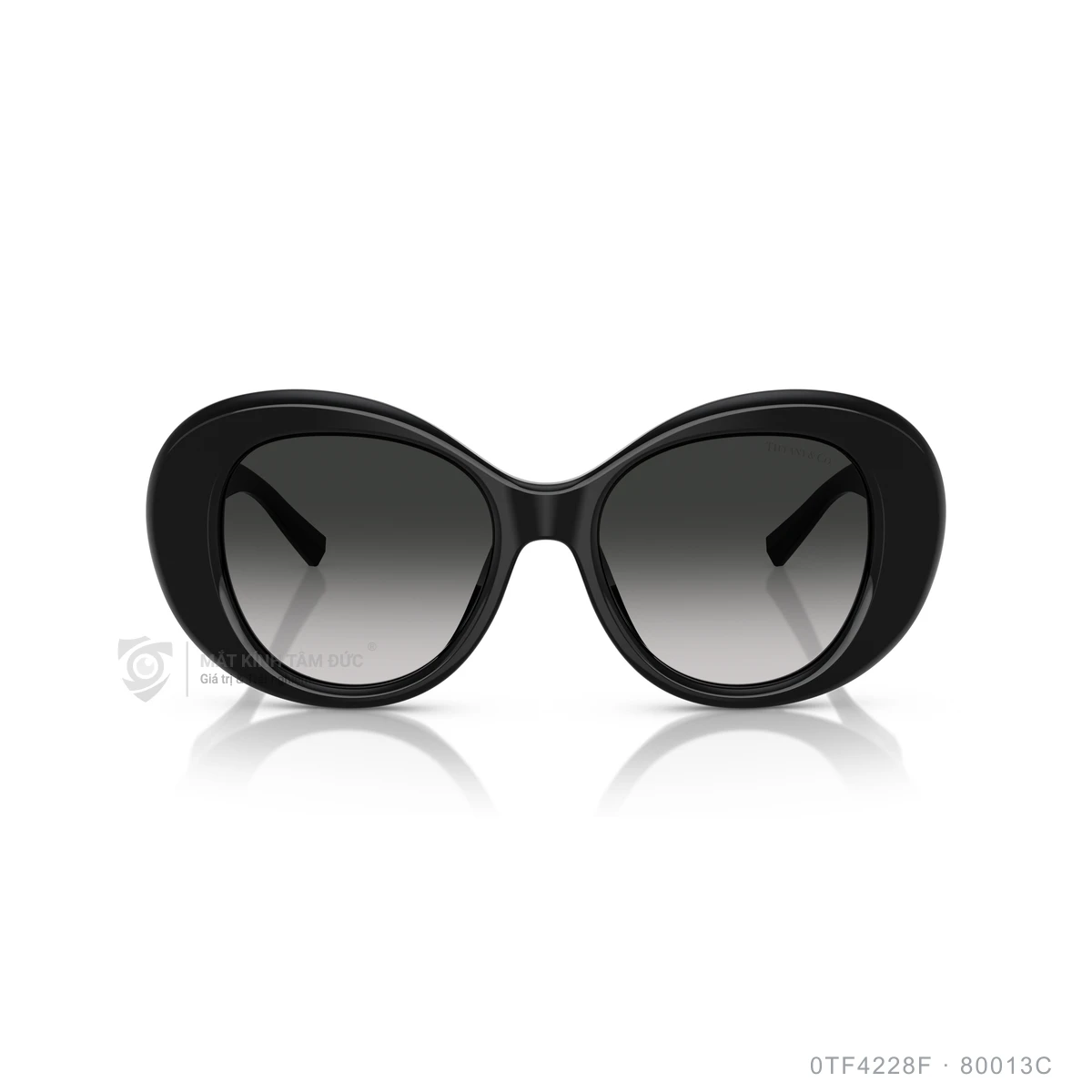 Kính mát Tiffany &amp; Co. 0TF4228F - Ảnh 1