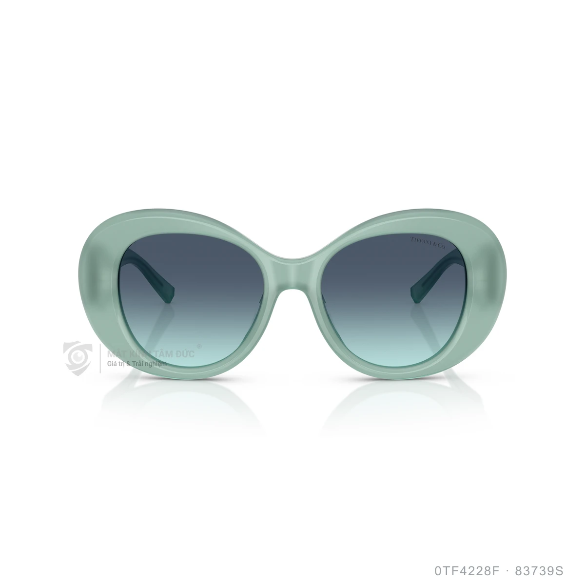 Kính mát Tiffany &amp; Co. 0TF4228F - Ảnh 6