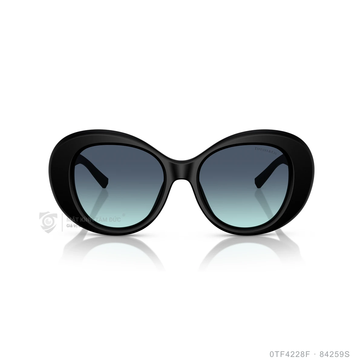 Kính mát Tiffany &amp; Co. 0TF4228F - Ảnh 11
