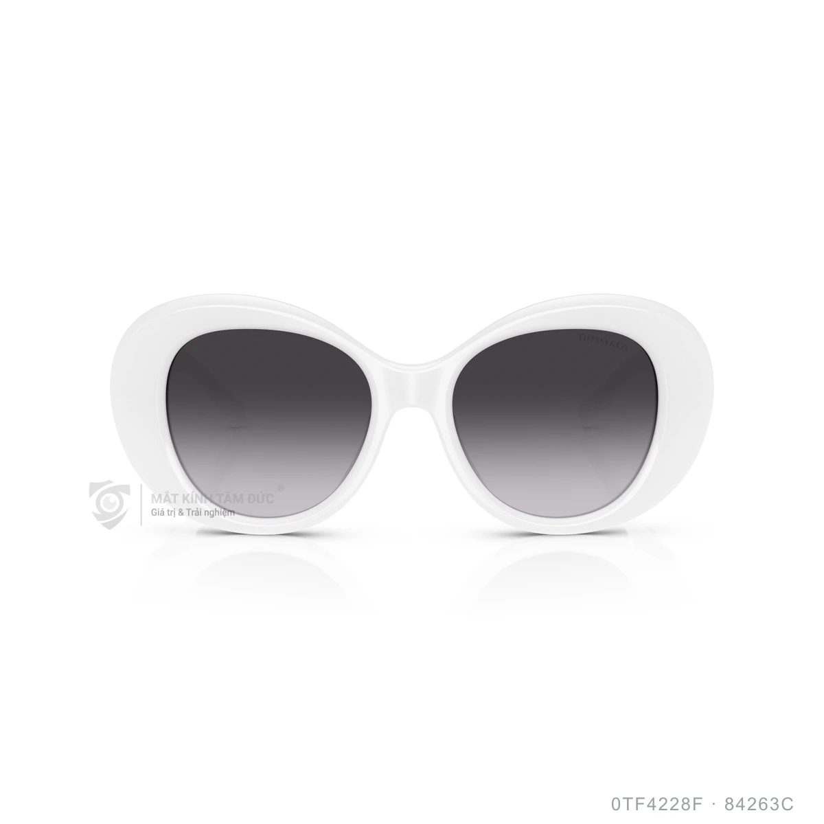 Kính mát Tiffany &amp; Co. 0TF4228F - Ảnh 16