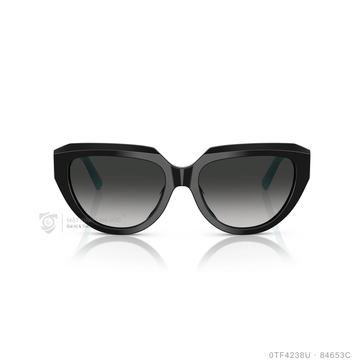Kính mát Tiffany &amp; Co. 0TF4238U - Ảnh 6