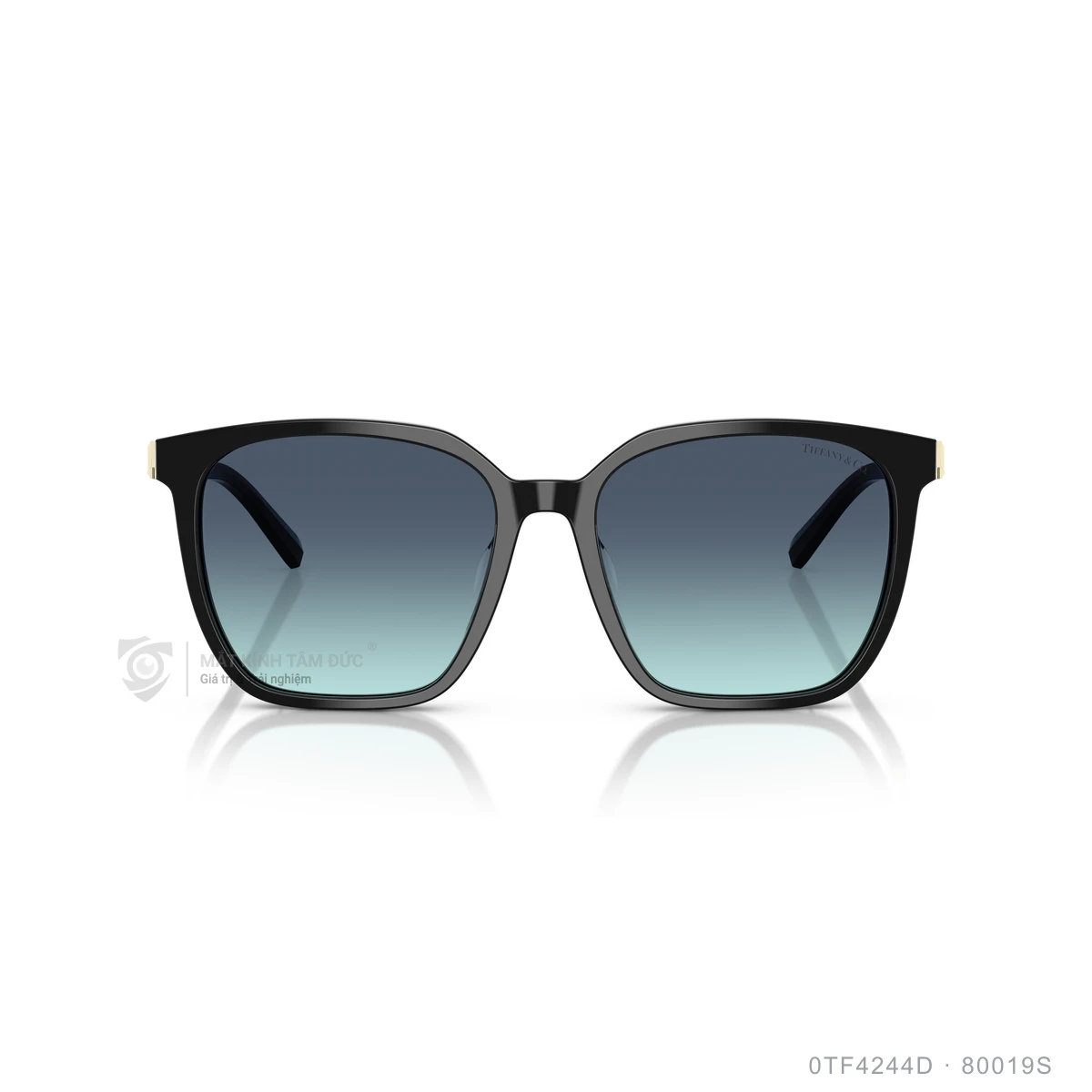 Hình ảnh thực tế Kính mát Tiffany & Co. 0TF4244D