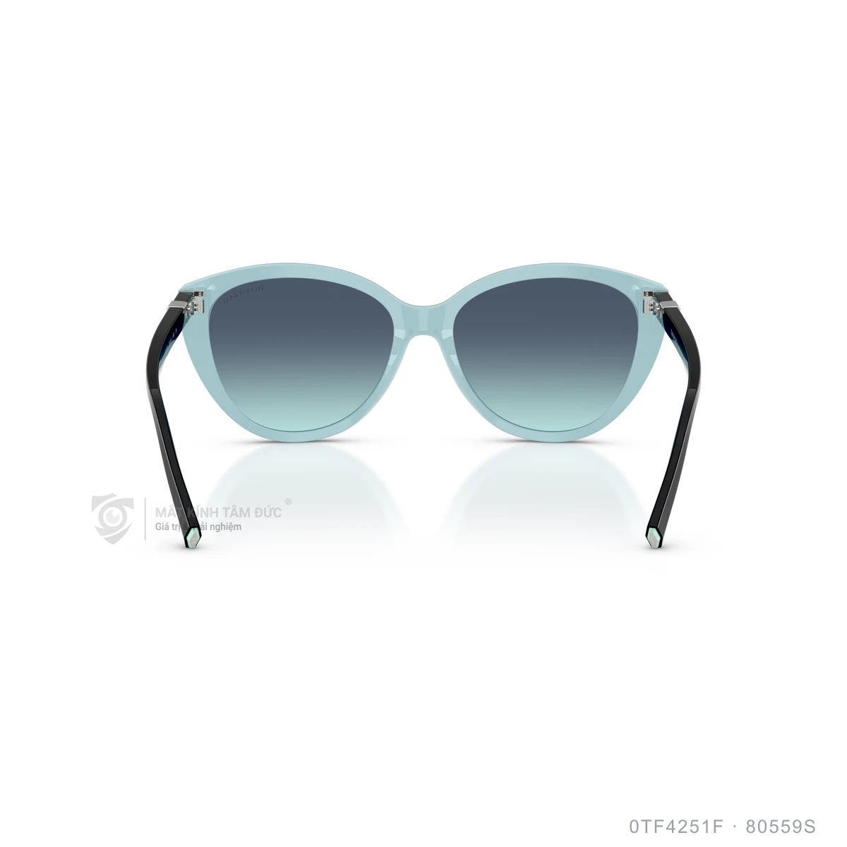 Kính mát Tiffany &amp; Co. 0TF4251F - Ảnh 10