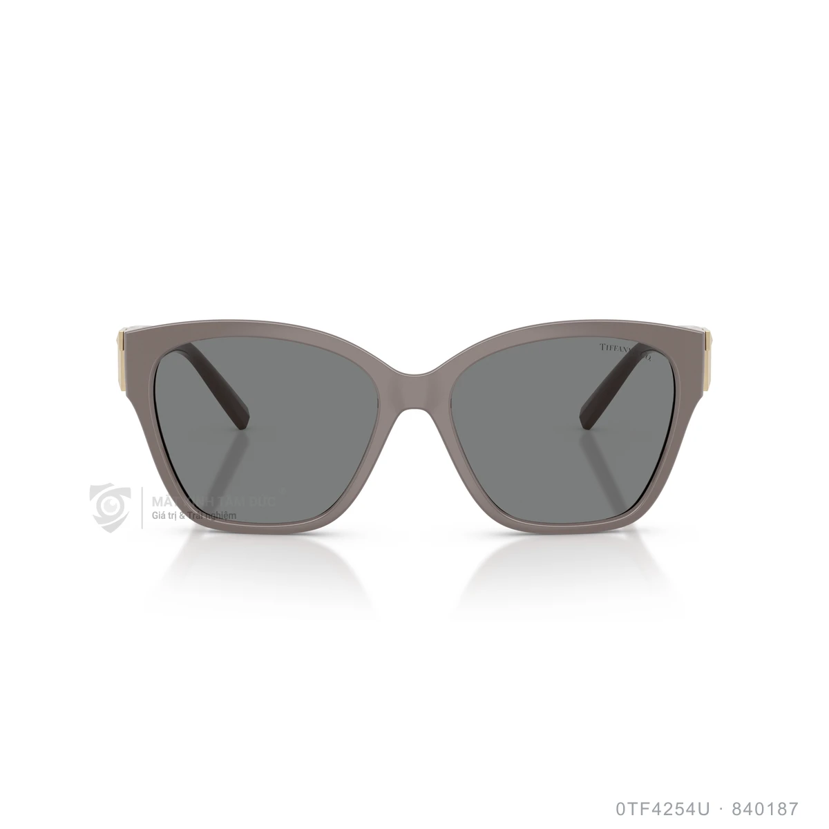 Kính mát Tiffany &amp; Co. 0TF4254U - Ảnh 11