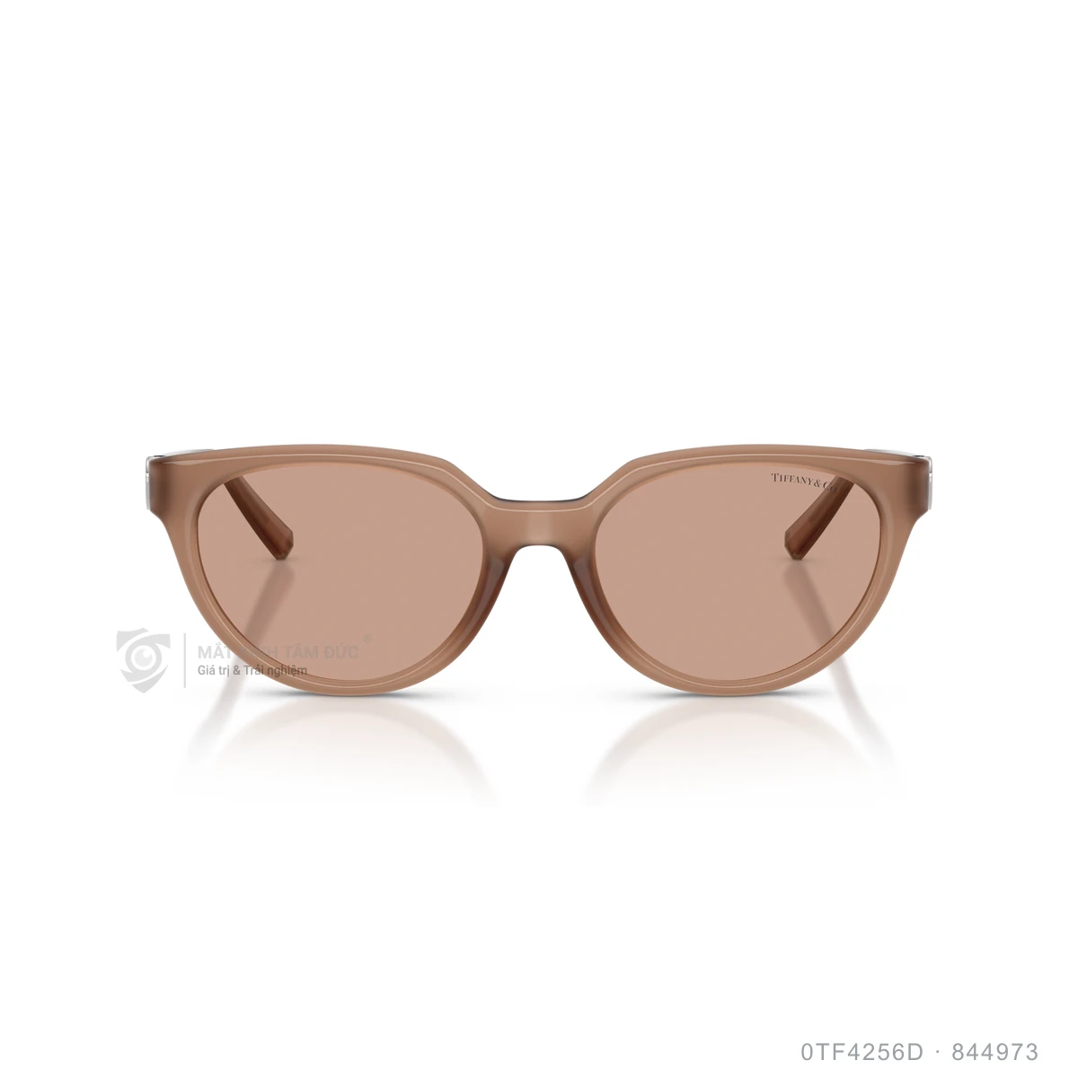 Kính mát Tiffany &amp; Co. 0TF4256D - Ảnh 16