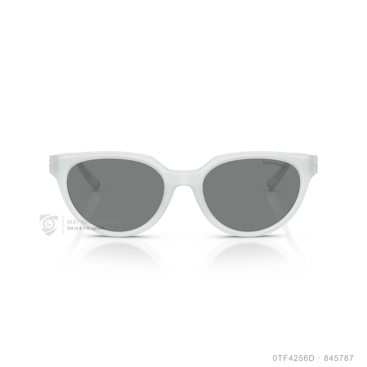 Kính mát Tiffany &amp; Co. 0TF4256D - Ảnh 21