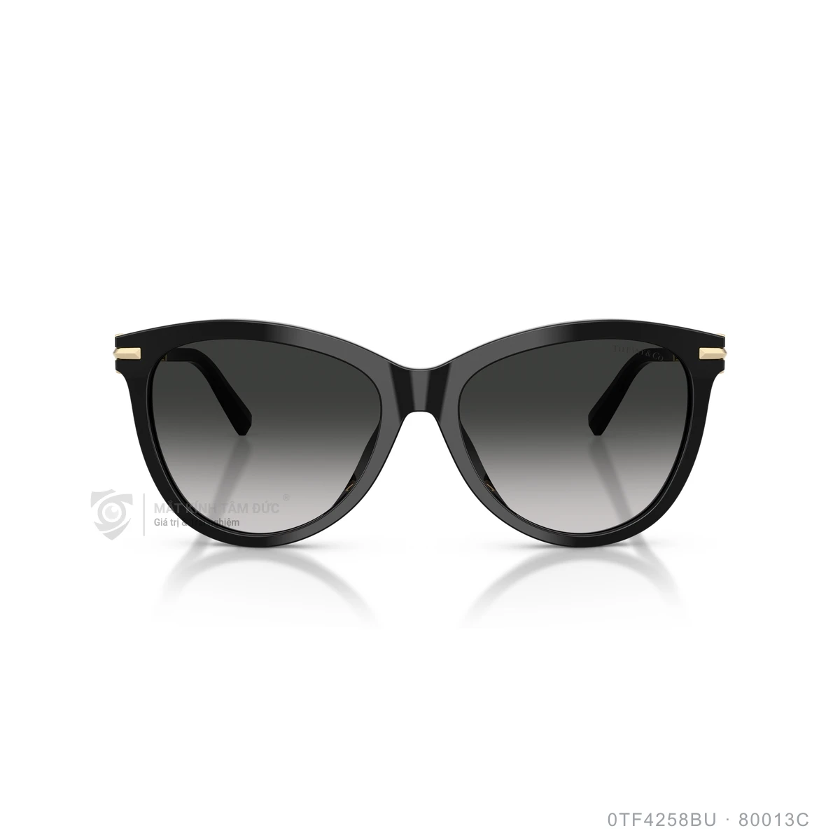 Hình ảnh thực tế Kính mát Tiffany & Co. 0TF4258BU