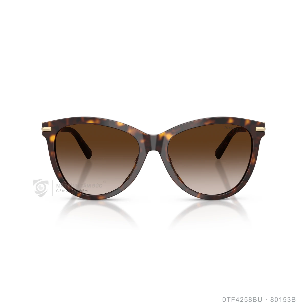Kính mát Tiffany & Co. 0TF4258BU - Ảnh 6