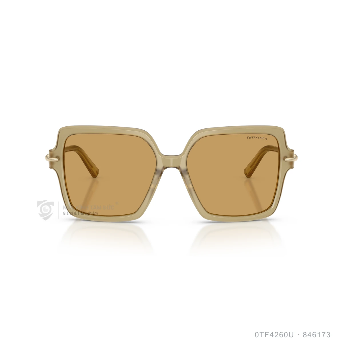 Kính mát Tiffany &amp; Co. 0TF4260U - Ảnh 16