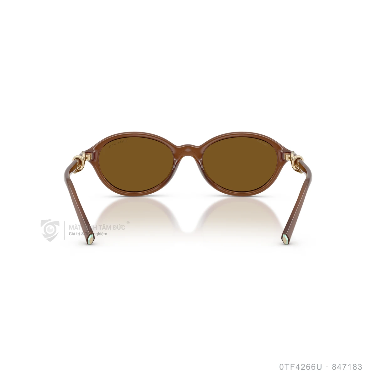 Kính mát Tiffany & Co. 0TF4266U - Ảnh 5