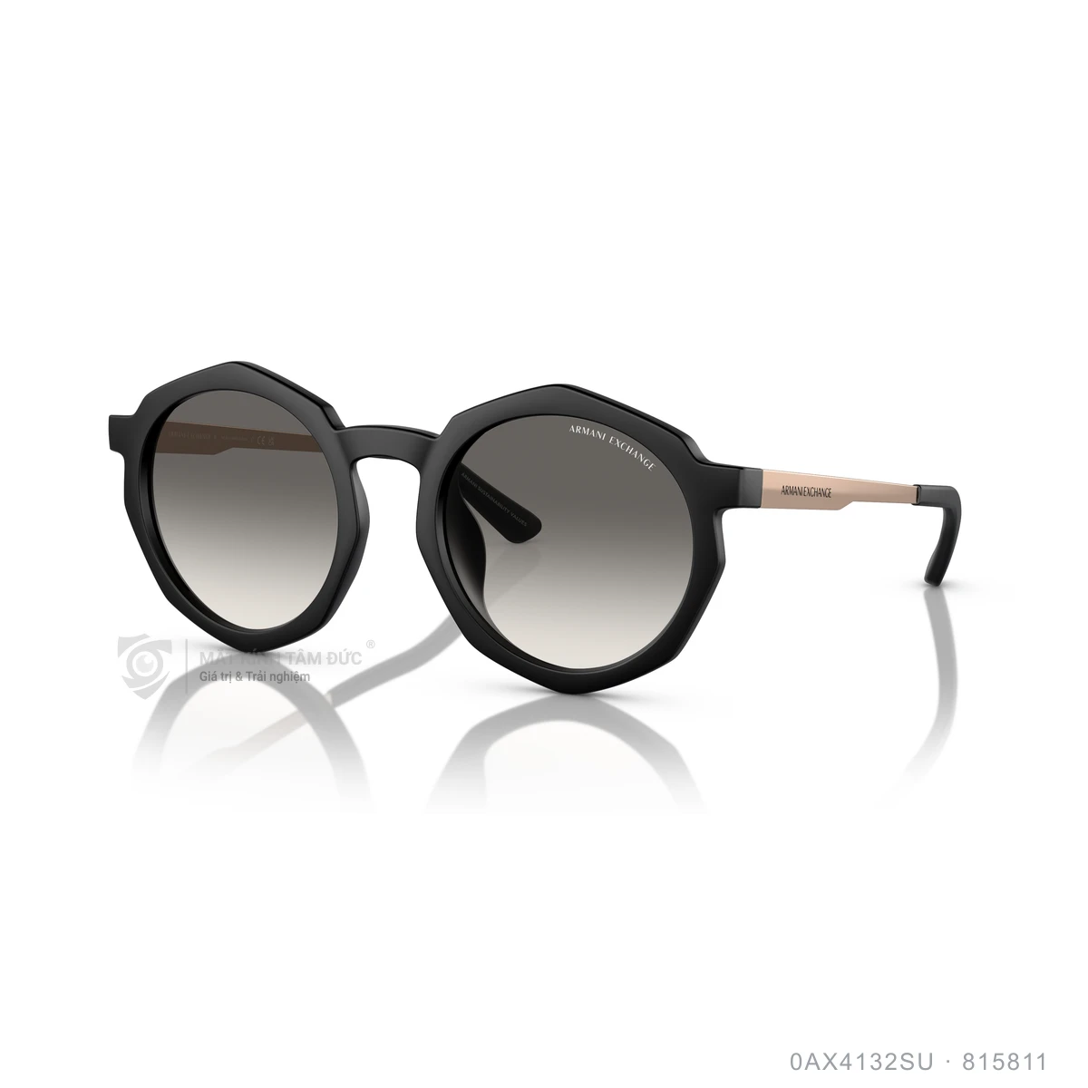 Chi tiết góc nghiêng Kính mát Armani Exchange 0AX4132SU