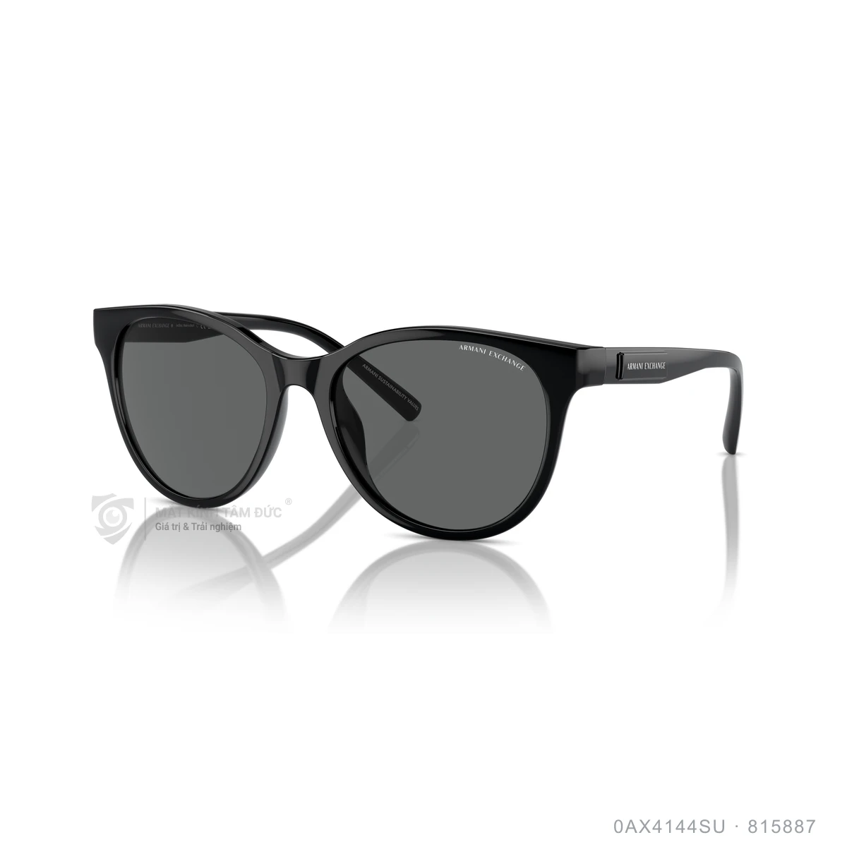 Chi tiết góc nghiêng Kính mát Armani Exchange 0AX4144SU