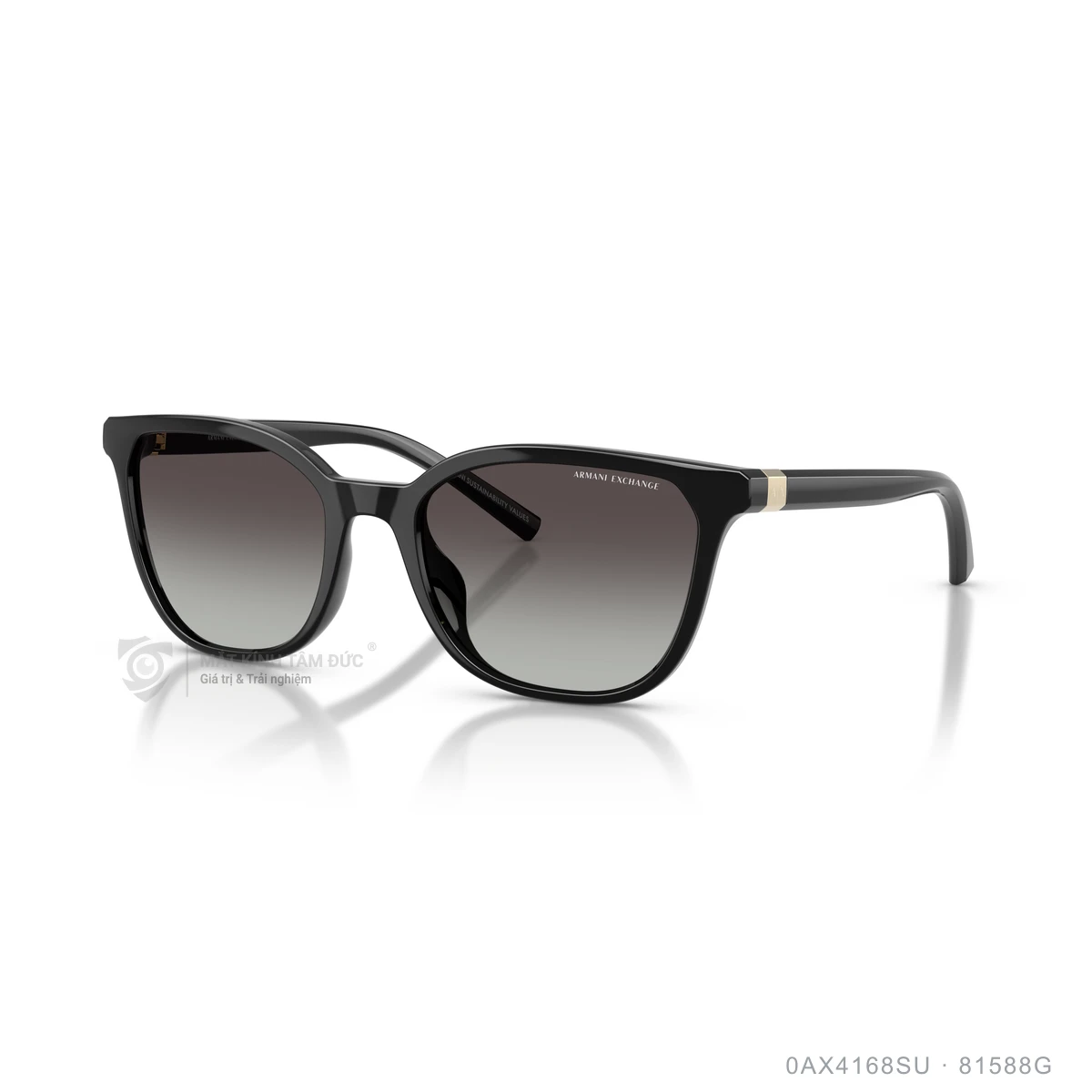 Chi tiết góc nghiêng Kính mát Armani Exchange 0AX4168SU