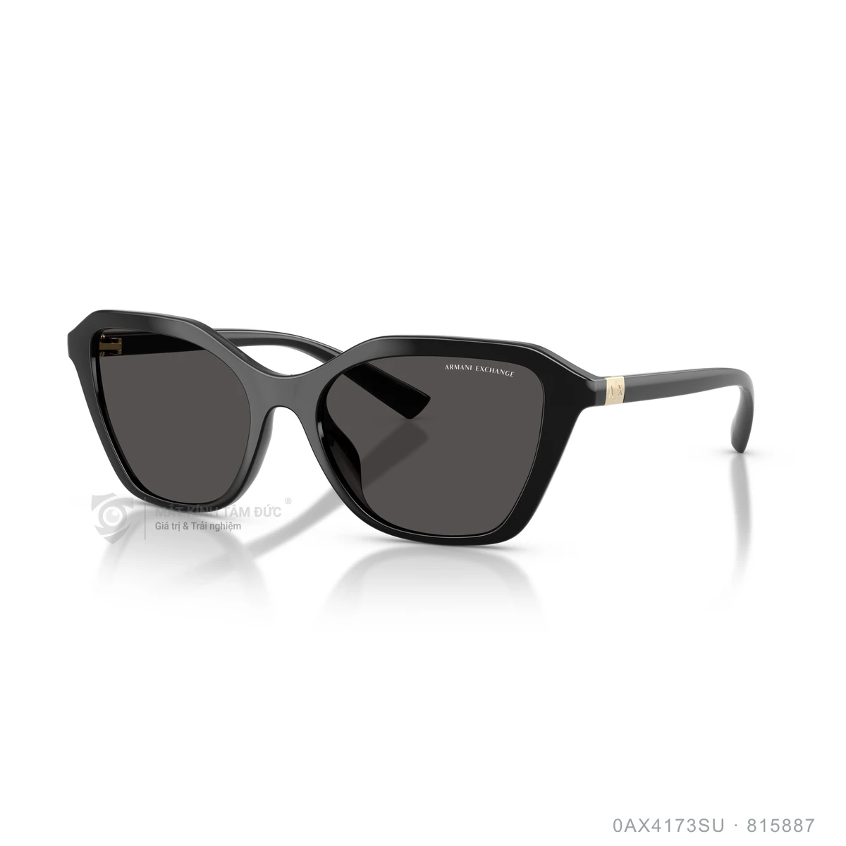 Chi tiết góc nghiêng Kính mát Armani Exchange 0AX4173SU