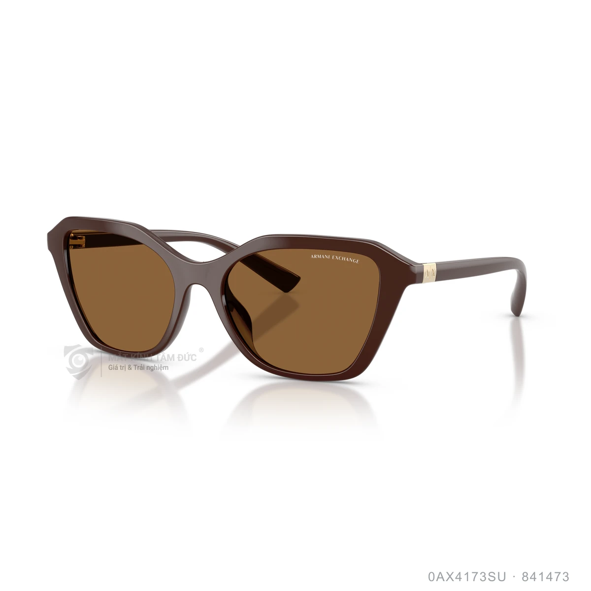 Kính mát Armani Exchange 0AX4173SU - Ảnh 12