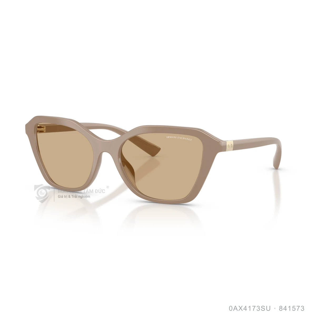 Kính mát Armani Exchange 0AX4173SU - Ảnh 17