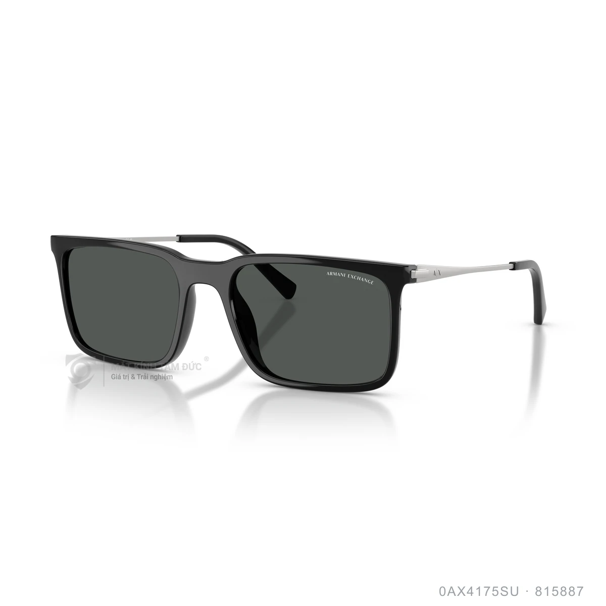 Chi tiết góc nghiêng Kính mát Armani Exchange 0AX4175SU