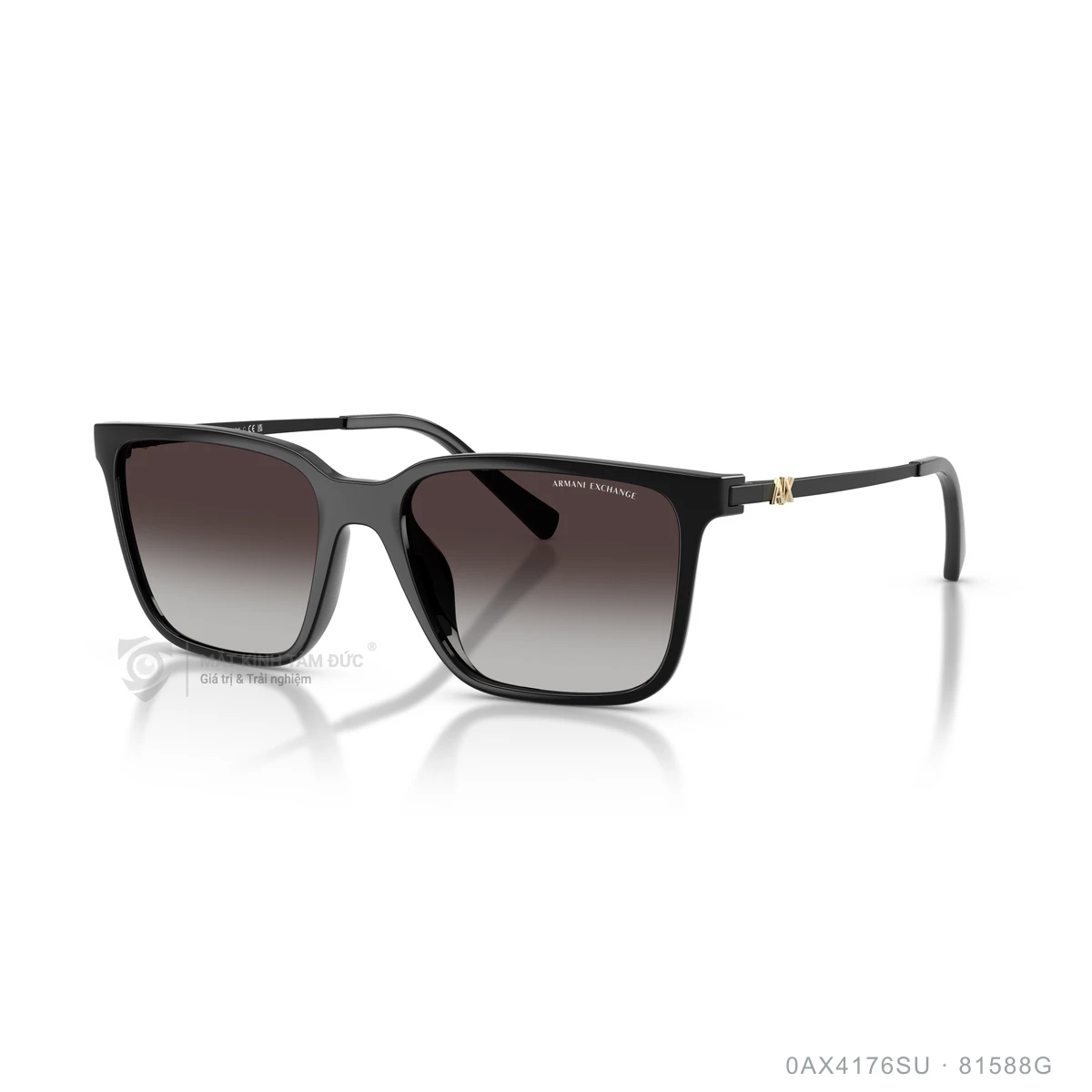 Chi tiết góc nghiêng Kính mát Armani Exchange 0AX4176SU