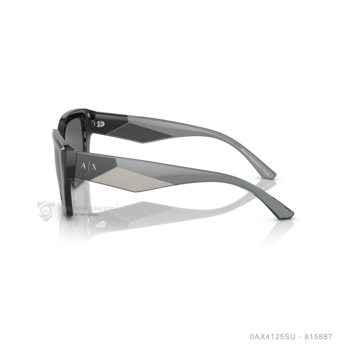 Kính mát Armani Exchange 0AX4125SU - Ảnh 4