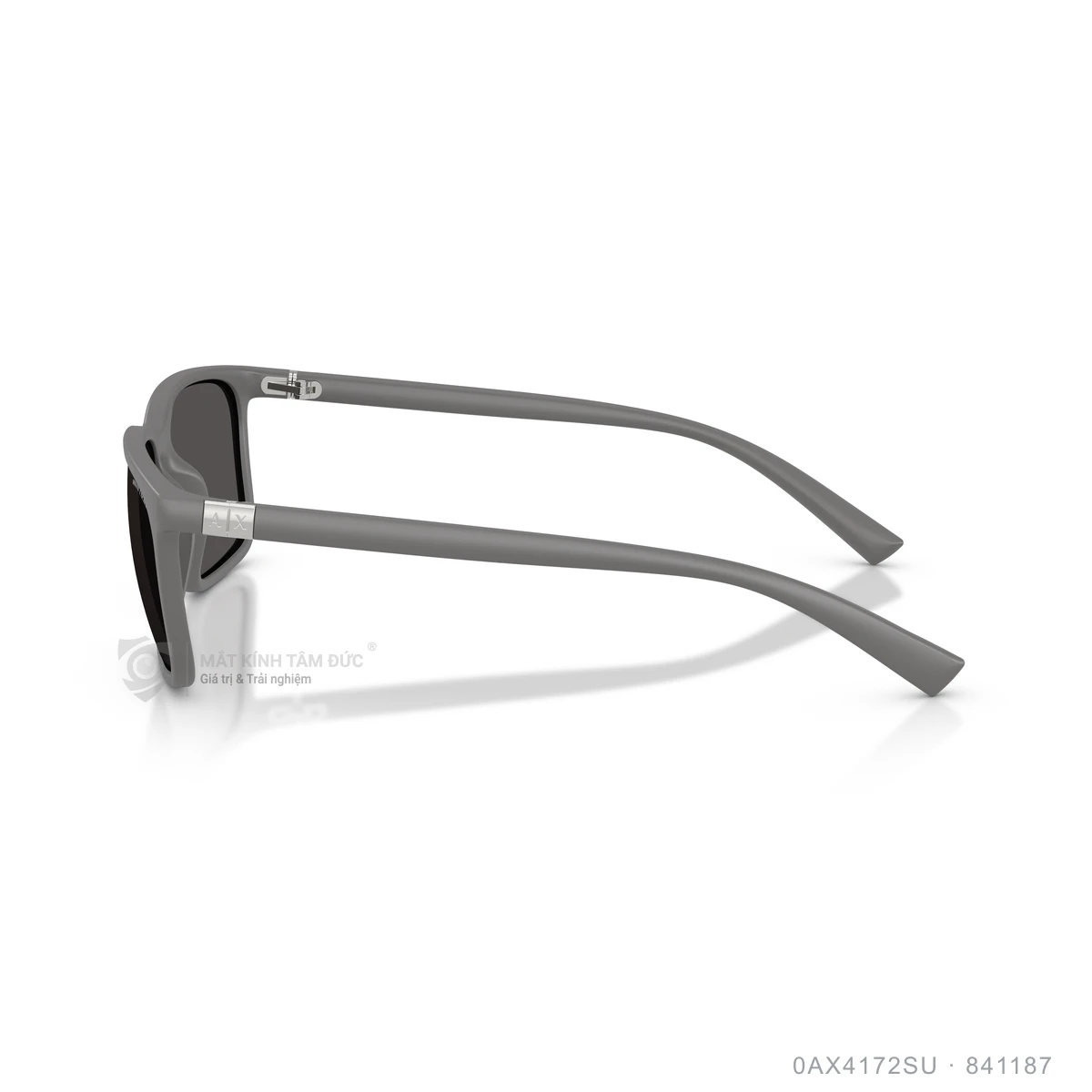 Kính mát Armani Exchange 0AX4172SU - Ảnh 14