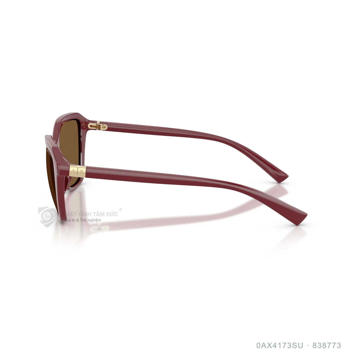 Kính mát Armani Exchange 0AX4173SU - Ảnh 9
