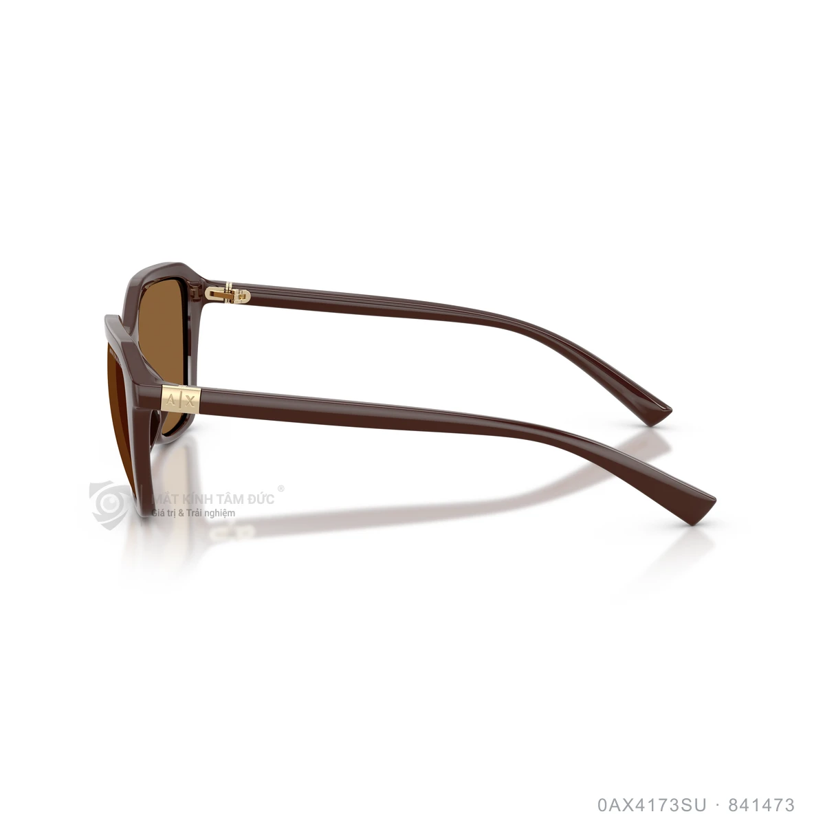 Kính mát Armani Exchange 0AX4173SU - Ảnh 14